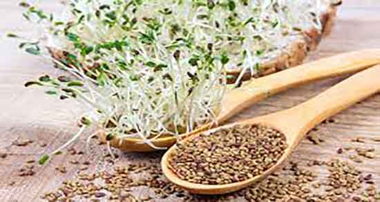 خواص یونجه در بدنسازی و طریقه مصرف عرق یونجه برای ورزشکاران خواص یونجه در بدنسازی ؛ طریقه مصرف عرق یونجه برای ورزشکاران