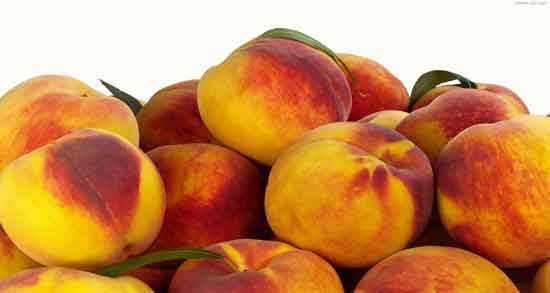 خوردن شفتالو در بارداری و خاصیت مصرف شفتالو برای دوران بارداری خوردن شفتالو در بارداری ؛ خاصیت مصرف شفتالو برای دوران بارداری