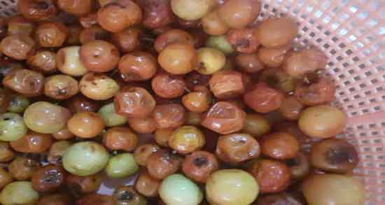 خوردن کنار در بارداری ؛ همه چیز درباره خواص و مضرات مصرف کنار در بارداری خوردن کنار در بارداری ؛ همه چیز درباره خواص و مضرات مصرف کنار در بارداری