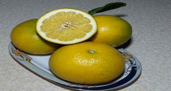 دارابی و دیابت و خواص و مضرات مصرف دارابی برای افراد دیابتی دارابی و دیابت ؛ خواص و مضرات مصرف دارابی برای افراد دیابتی