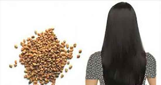 دانه شنبلیله برای رشد مو و کیا از دانه شنبلیله برای مو نتیجه گرفتن دانه شنبلیله برای رشد مو ؛ کیا از دانه شنبلیله برای مو نتیجه گرفتن