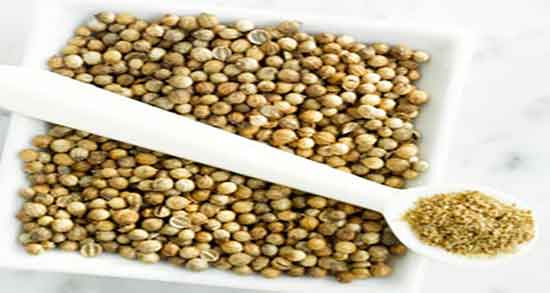 دانه شنبلیله و دیابت و خاصیت مصرف دانه شنبلیله برای کنترل قند خون دانه شنبلیله و دیابت ؛ خاصیت مصرف دانه شنبلیله برای کنترل قند خون