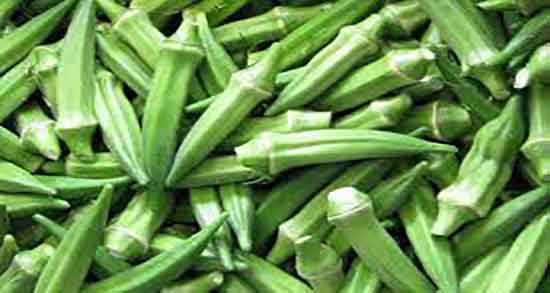 درمان قطعی دیابت بامیه ؛ خاصیت مصرف بامیه برای دیابت زنان باردار درمان قطعی دیابت بامیه ؛ خاصیت مصرف بامیه برای دیابت زنان باردار