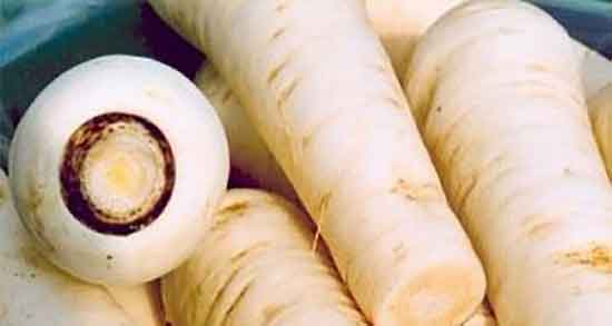 دمنوش شقاقل و ایا دمنوش شقاقل برای زیبایی جنین مادران خوب است دمنوش شقاقل ؛ ایا دمنوش شقاقل برای زیبایی جنین مادران خوب است