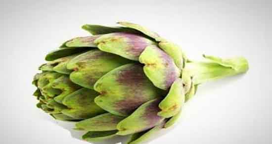 دمنوش کنگر فرنگی ؛ طریقه مصرف و دستور دمنوش کنگر فرنگی دمنوش کنگر فرنگی ؛ طریقه مصرف و دستور دمنوش کنگر فرنگی