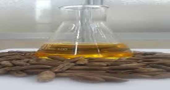 روغن هسته خرما برا پوست و عوارض مصرف هسته خرما برای صورت روغن هسته خرما برا پوست ؛ عوارض مصرف هسته خرما برای صورت