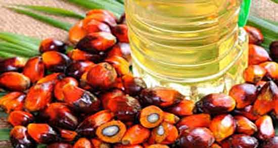 روغن هسته خرما برای پوست ؛ ایا روغن هسته خرما برای پوست مفیده روغن هسته خرما برای پوست ؛ ایا روغن هسته خرما برای پوست مفیده