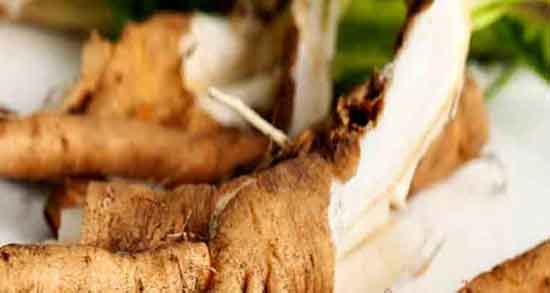 ریشه کاسنی برای مو ؛ خواص ریشه کاسنی برای تقویت ریشه مو ریشه کاسنی برای مو ؛ خواص ریشه کاسنی برای تقویت ریشه مو