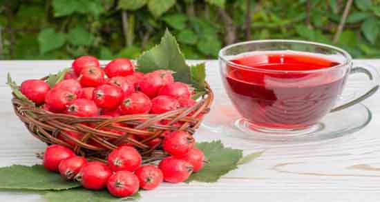 زالزالک برای قند خون و تاثیر خوردن زالزالک برای تنظیم قند خون زالزالک برای قند خون ؛ تاثیر خوردن زالزالک برای تنظیم قند خون