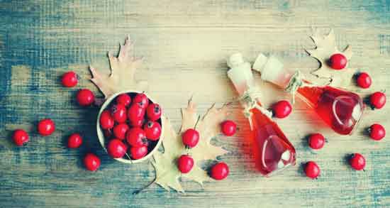 زالزالک و خواص آن و آشنایی با خاصیت و فواید درمانی زالزالک زالزالک و خواص آن ؛ آشنایی با خاصیت و فواید درمانی زالزالک