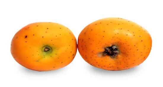 زالزالک و قند خون و خوردن زالزالک چه تاثیری روی قند خون می گذارد؟ زالزالک و قند خون ؛ خوردن زالزالک چه تاثیری روی قند خون می گذارد؟