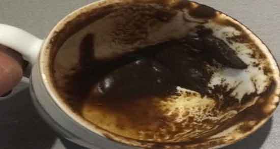 سرشیر در فال قهوه و معنی و تفسیر دیدن سرشیر در فال قهوه سرشیر در فال قهوه ؛ معنی و تفسیر دیدن سرشیر در فال قهوه