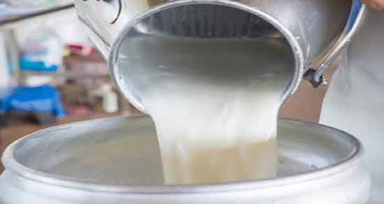 سرشیر و خواص آن ؛ همه چیز درباره خواص درمانی سرشیر سرشیر و خواص آن ؛ همه چیز درباره خواص درمانی سرشیر