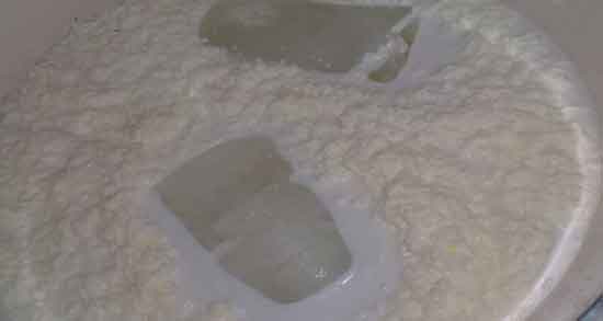 سرشیر و دیابت ؛ خواص و مضرات خوردن سرشیر برای افراد دیابتی سرشیر و دیابت ؛ خواص و مضرات خوردن سرشیر برای افراد دیابتی