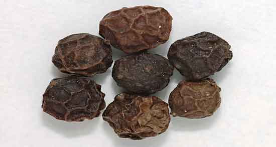 شاه ادویه ها ؛ فلفل سیاه پر خاصیت به عنوان شاه ادویه ها شاه ادویه ها ؛ فلفل سیاه پر خاصیت به عنوان شاه ادویه ها