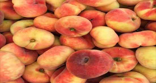 شفتالو برای معده و خواص و مضرات خوردن شفتالو برای بیماری معده شفتالو برای معده ؛ خواص و مضرات خوردن شفتالو برای بیماری معده