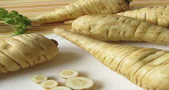 شقاقل برای زنان و خاصیت ضد عفونی کننده رحم با مصرف شقاقل شقاقل برای زنان ؛ خاصیت ضد عفونی کننده رحم با مصرف شقاقل