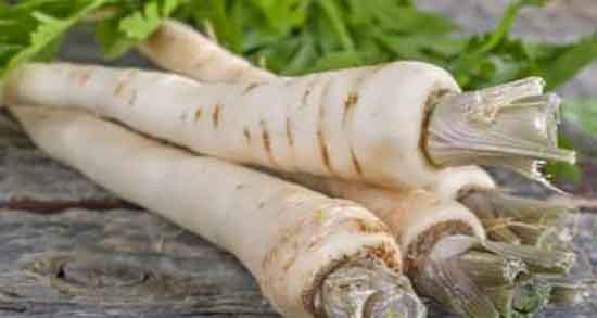 شقاقل برای لاغری و خاصیت مصرف گیاه شقاقل برای چربی سوزی شقاقل برای لاغری ؛ خاصیت مصرف گیاه شقاقل برای چربی سوزی