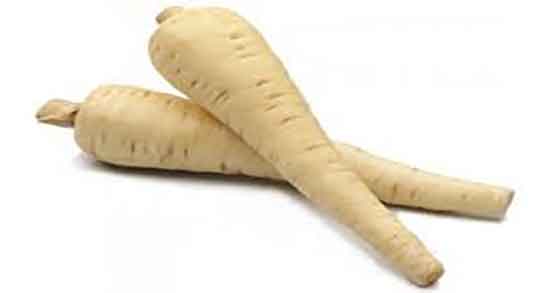 شقاقل برای چی خوب است و فواید و عوارض گیاه شقاقل برای بدن شقاقل برای چی خوب است ؛ فواید و عوارض گیاه شقاقل برای بدن