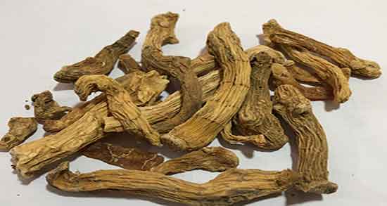 شقاقل و اسپرم و تاثیر خوردن شقاقل برای تقویت اسپرم اقایان چیست شقاقل و اسپرم ؛ تاثیر خوردن شقاقل برای تقویت اسپرم اقایان چیست