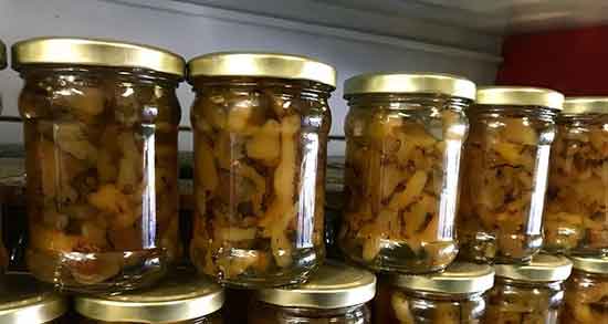 شقاقل و زنجبیل و ایا شقاقل و زنجبیل برای تقویت معده مفید هستند شقاقل و زنجبیل ؛ ایا شقاقل و زنجبیل برای تقویت معده مفید هستند