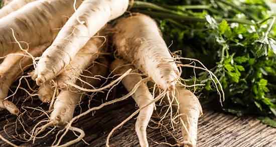 شقاقل چیست ؛ آیا نام دیگر زردک همان شقاقل است یا نه شقاقل چیست ؛ آیا نام دیگر زردک همان شقاقل است یا نه