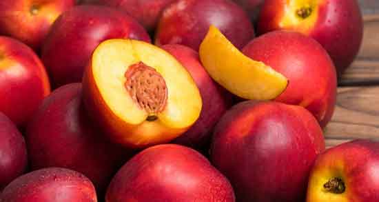 شلیل برای سرماخوردگی و خواص خوردن شلیل برای بهبود علائم سرماخوردگی شلیل برای سرماخوردگی ؛ خواص خوردن شلیل برای بهبود علائم سرماخوردگی