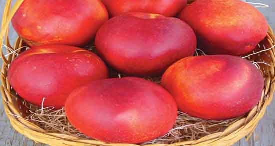 شلیل برای پوست صورت ؛ داشتن پوستی سالم و شاداب با خوردن شلیل شلیل برای پوست صورت ؛ داشتن پوستی سالم و شاداب با خوردن شلیل