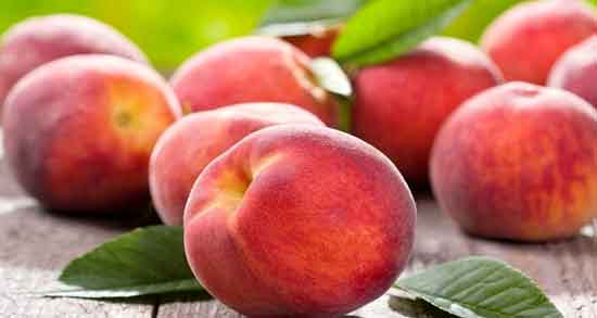 شلیل در بارداری ؛ خواص و مضرات خوردن شلیل برای دوران بارداری شلیل در بارداری ؛ خواص و مضرات خوردن شلیل برای دوران بارداری