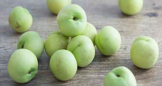 شلیل سبز ؛ همه چیز درباره خواص و مضرات خوردن شلیل سبز شلیل سبز ؛ همه چیز درباره خواص و مضرات خوردن شلیل سبز