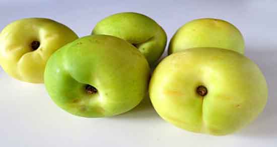 شلیل سبز رنگ ؛ آشنایی با خواص و فواید شلیل سبز رنگ شلیل سبز رنگ ؛ آشنایی با خواص و فواید شلیل سبز رنگ