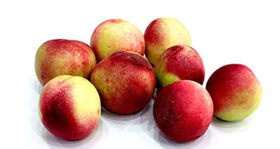 شلیل و اسهال ؛ آیا مصرف بیش از اندازه شلیل باعث ایجاد اسهال می شود؟ شلیل و اسهال ؛ آیا مصرف بیش از اندازه شلیل باعث ایجاد اسهال می شود؟