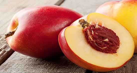 شلیل و نفخ معده ؛ آیا خوردن شلیل باعث ایجاد نفخ می شود؟ شلیل و نفخ معده ؛ آیا خوردن شلیل باعث ایجاد نفخ می شود؟