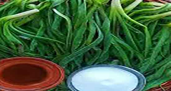 شنگ برای چی خوب است و ایا خوردن شنگ برای لاغری مفیده شنگ برای چی خوب است ؛ ایا خوردن شنگ برای لاغری مفیده