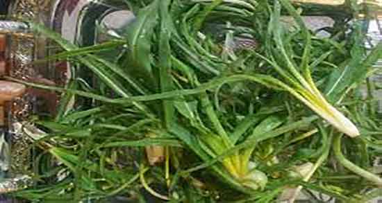 شنگ و پاغازه و خاصیت مصرف شنگ و پاغازه برای وعده غذایی شنگ و پاغازه ؛ خاصیت مصرف شنگ و پاغازه برای وعده غذایی