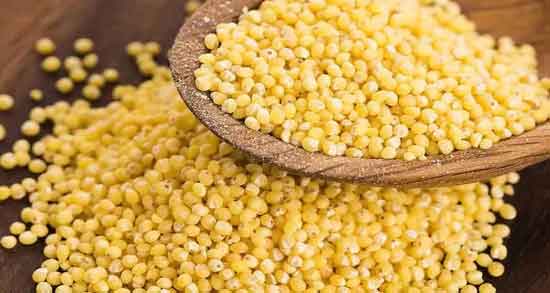 شکل دانه ارزن و مشخصات و ویژگی های دانه ارزن چگونه است؟ شکل دانه ارزن ؛ مشخصات و ویژگی های دانه ارزن چگونه است؟