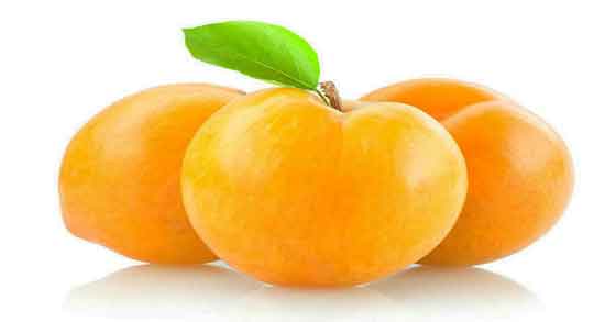 طبع آلو قطره طلا و آشنایی با خواص درمانی و طبع آلو قطره طلا طبع آلو قطره طلا ؛ آشنایی با خواص درمانی و طبع آلو قطره طلا