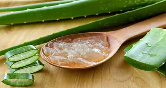 طبع آلوورا و آشنایی با خواص درمانی و طبع آلوورا طبع آلوورا ؛ آشنایی با خواص درمانی و طبع آلوورا