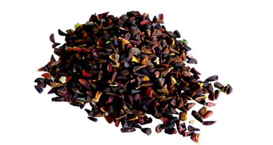 طبع اسپند ؛ همه چیز درباره خواص درمانی و طبع اسپند طبع اسپند ؛ همه چیز درباره خواص درمانی و طبع اسپند