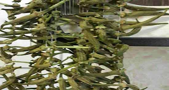 طبع بامیه چیست و طبع بامیه خورشت برای بدن سرد است یا گرم طبع بامیه چیست ؛ طبع بامیه خورشت برای بدن سرد است یا گرم