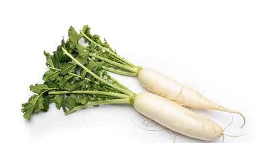 طبع ترب سفید و طبیعت ترب سفید برای بدن انسان گرم است یا سرد طبع ترب سفید ؛ طبیعت ترب سفید برای بدن انسان گرم است یا سرد