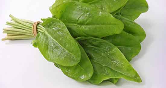 طبع ترشک و ایا طبیعت ترشک برای بدن کودکان سرد است یا گرم طبع ترشک ؛ ایا طبیعت ترشک برای بدن کودکان سرد است یا گرم