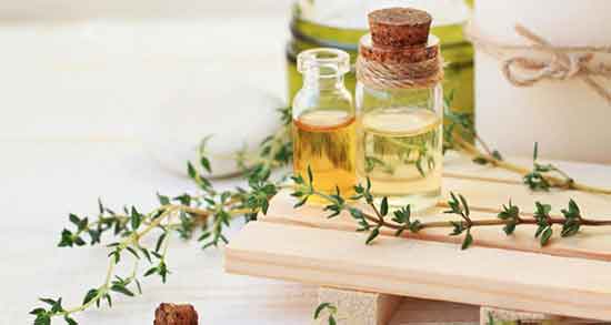 طبع روغن آویشن و طبیعت روغن آویشن شیرازی گرم است یا سرد طبع روغن آویشن ؛ طبیعت روغن آویشن شیرازی گرم است یا سرد