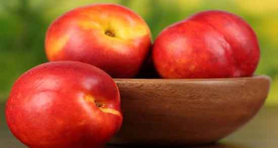 طبع شلیل و آشنایی با خواص درمانی و طبع شلیل طبع شلیل ؛ آشنایی با خواص درمانی و طبع شلیل