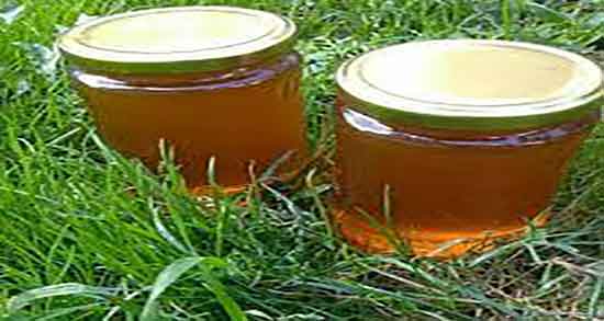 طبع عسل آویشن ؛ طبیعت عسل آویشن برای بدن گرم است یا سرد طبع عسل آویشن ؛ طبیعت عسل آویشن برای بدن گرم است یا سرد