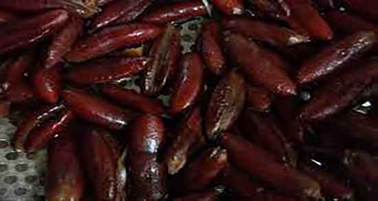 طبع هسته خرما ؛ طبع خرمای خاصویی برای بدن گرم است یا سرد طبع هسته خرما ؛ طبع خرمای خاصویی برای بدن گرم است یا سرد