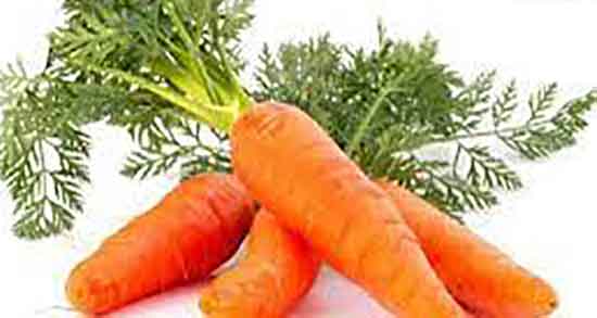 طبع هویج فرنگی و طبیعت هویج فرنگی از نظر طب سنتی چیست طبع هویج فرنگی ؛ طبیعت هویج فرنگی از نظر طب سنتی چیست