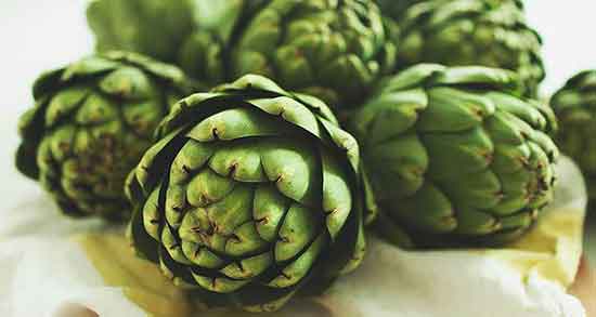 طبع کنگر فرنگی ؛ طبیعت مصرف کنگر فرنگی در دوران بارداری چیست طبع کنگر فرنگی ؛ طبیعت مصرف کنگر فرنگی در دوران بارداری چیست