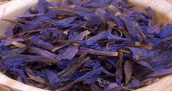 طبع گل گاوزبان ؛ آشنایی با خواص درمانی و طبع گل گاوزبان طبع گل گاوزبان ؛ آشنایی با خواص درمانی و طبع گل گاوزبان