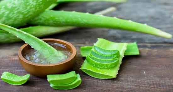 طرز استفاده از آلوورا برای پوست صورت و روش تهیه ماسک آلوورا برای سلامت پوست طرز استفاده از آلوورا برای پوست صورت ؛ روش تهیه ماسک آلوورا برای سلامت پوست